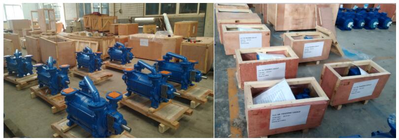 DLV Series Double Stages Water Ring Vacuum Pumps Packing &shipping