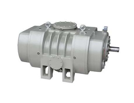 Air-Cooled Roots Vacuum Pump