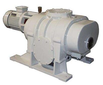 ZJ Roots Vacuum Pump