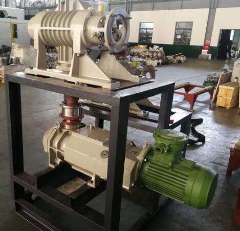 dry screw vacuum pump system