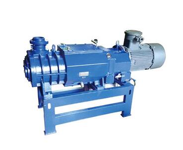 Dry screw vacuum pump