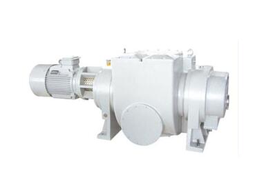 Roots vacuum pump