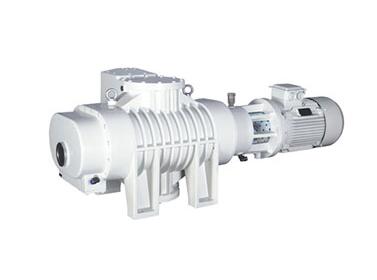 Roots vacuum pump