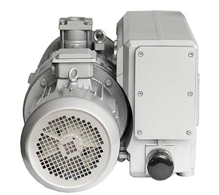 Rotary vane vacuum pump for vacuum packaging