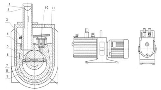 structure diagram of 2XZ vacuum pump