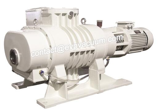 Roots-vacuum-pump