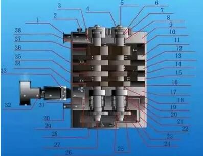 Claw type dry vacuum pump