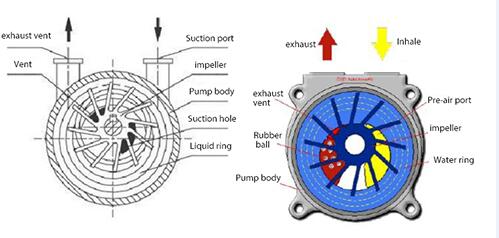 ophøre samtale industri Liquid ring vacuum pump working principle- Vacuum Pump - EVP Vacuum  Solution!