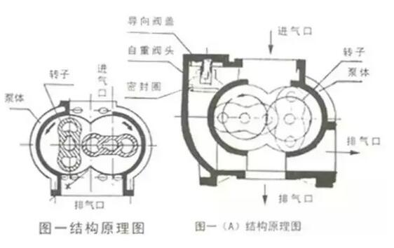 Roots vacuum pump