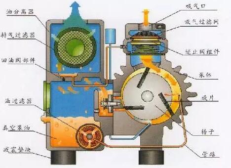 Rotary vane vacuum pump