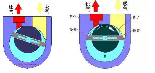 Rotary vane vacuum pump