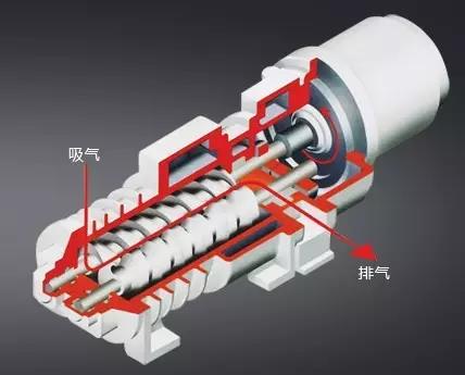 Screw Dry Vacuum Pump Working Principle