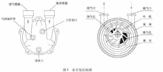 Vacuum pump structure