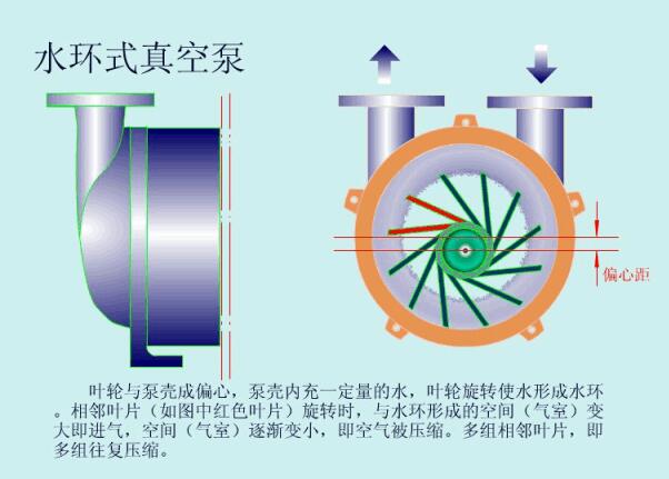 Water Ring Vacuum Pump Full Analysis