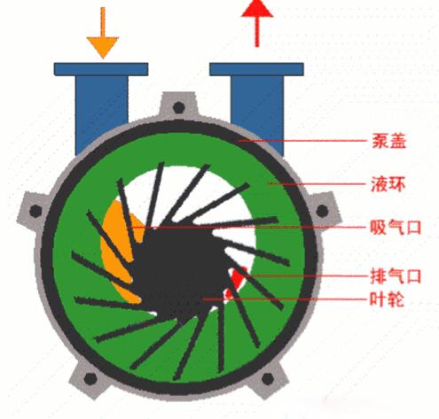 Water Ring Vacuum Pump Working Principle