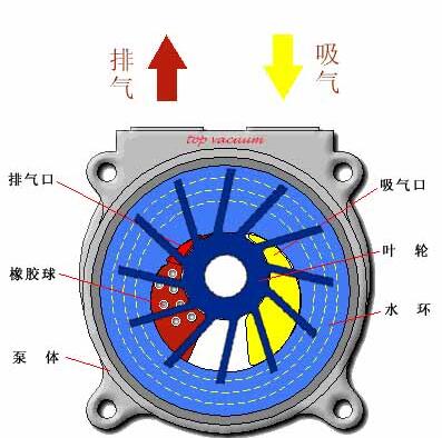 Water ring vacuum pump