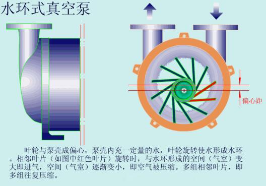 Water ring vacuum pump1