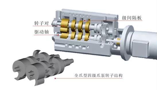 claw type vacuum pump Structure1