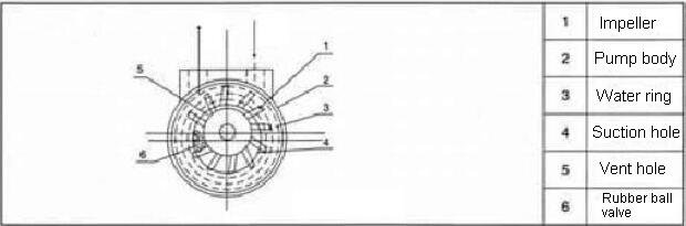 water ring vacuum pump is cantilever structure