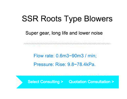 Roots Blower Price