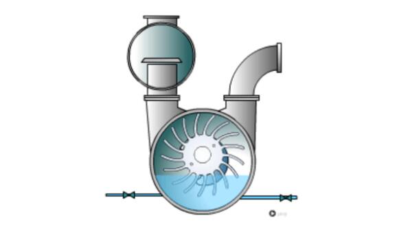 Liquid ring pump