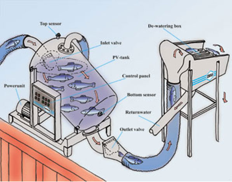 Vacuum-pump-fishing-industry