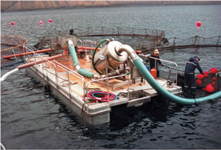 Vacuum pump fishing industry Vacuum Pump EVP Vacuum Solution!