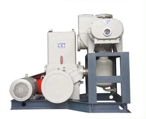 freeze-drying-pump