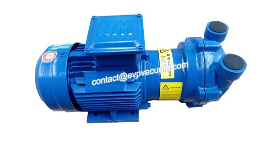 Monoblock liquid ring vacuum pump