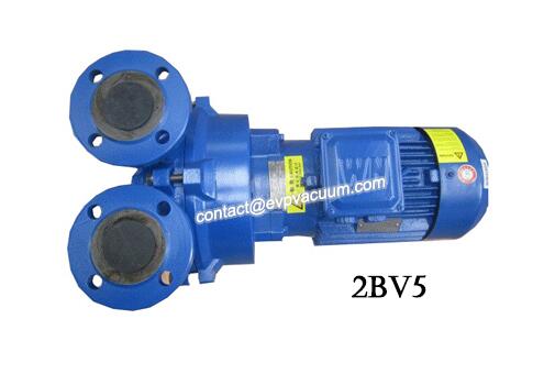 2BV5111 water ring vacuum pump