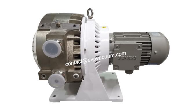 Oil-free scroll vacuum pump