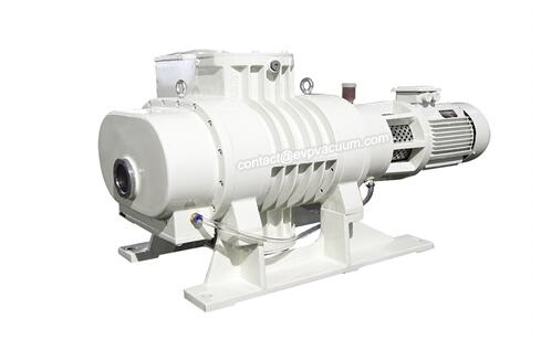 Roots vacuum pump