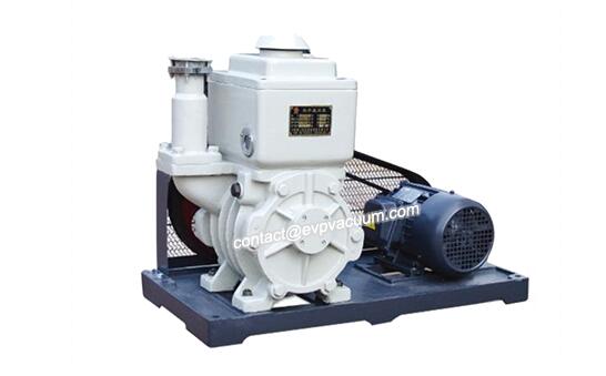 Rotary vane vacuum pump in nuclear power plant operation