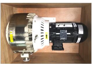 Dry scroll vacuum pump