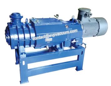 Dry screw pump