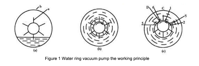 Water ring vacuum pump the working principle