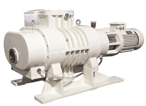 Roots vacuum pump