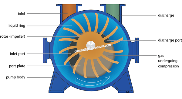 What pumping requirements of liquid ring vacuum pump