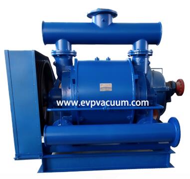 CL 1001 vacuum pump