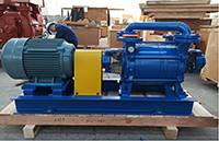 DLV350 Two Stages LR Vacuum Pump Used In Research institute of construction and road Brick Plant