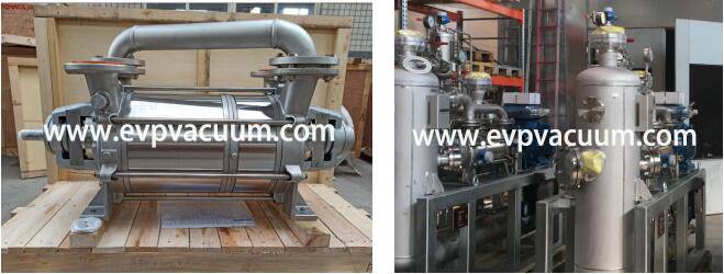 DLV600 Liquid ring Vacuum Pump Used In petrochemical industry In Europe