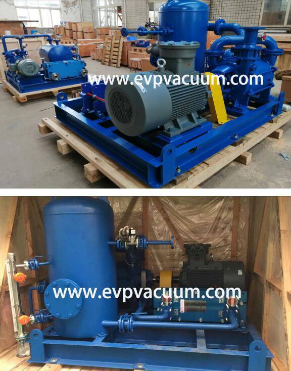 DLV800 Liquid ring Vacuum Pump Close Cycle System Used Palm Oil In Southeast Asia