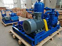 DLV800 Liquid ring Vacuum Pump Close Cycle System Used Palm Oil