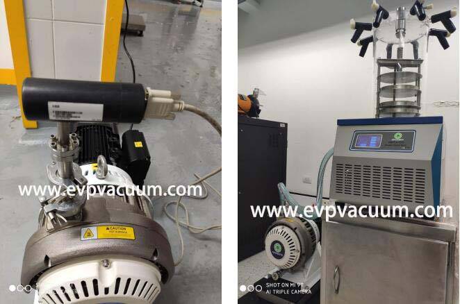 Dry Scroll Vacuum Pump Used In Freeze Dryer Plant