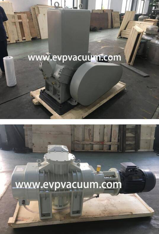 Roots Vacuum Pump Used in Vacuum Rolling Coating Machine