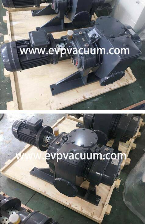 Roots Vacuum Pumps Used in Electric Transformer in Southeast Asia