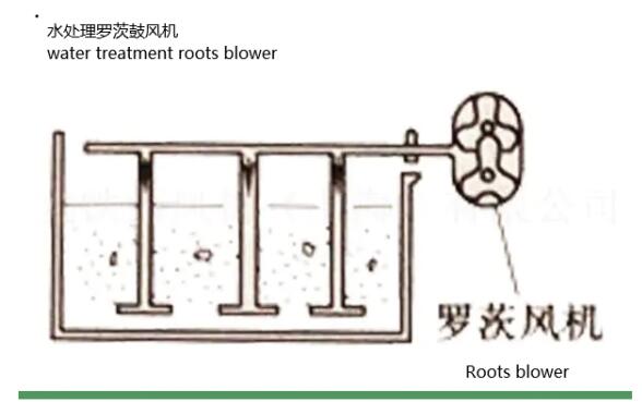 Roots blower in sewage water treatment Application