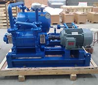 DLV Liquid System Pump Used in Alkalized process