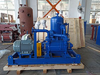 DLV500 Two Stages LR Vacuum Pump Used In Food Processing Factory