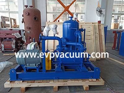 DLV500 Two Stages LR Vacuum Pump Used in Africa Food Processing Factory